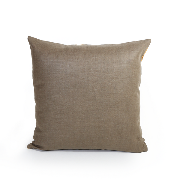 silk velvet w thick belgian linen reverse cushion (2) 50x50cm
